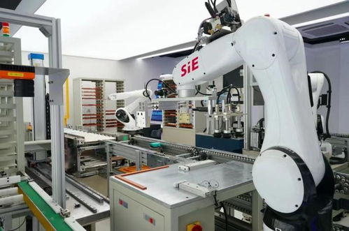 賽意信息2020年度業(yè)績(jī)說明會(huì) 智能制造業(yè)務(wù)高速增長，研發(fā)投入驅(qū)動(dòng)智能機(jī)器人創(chuàng)新發(fā)展